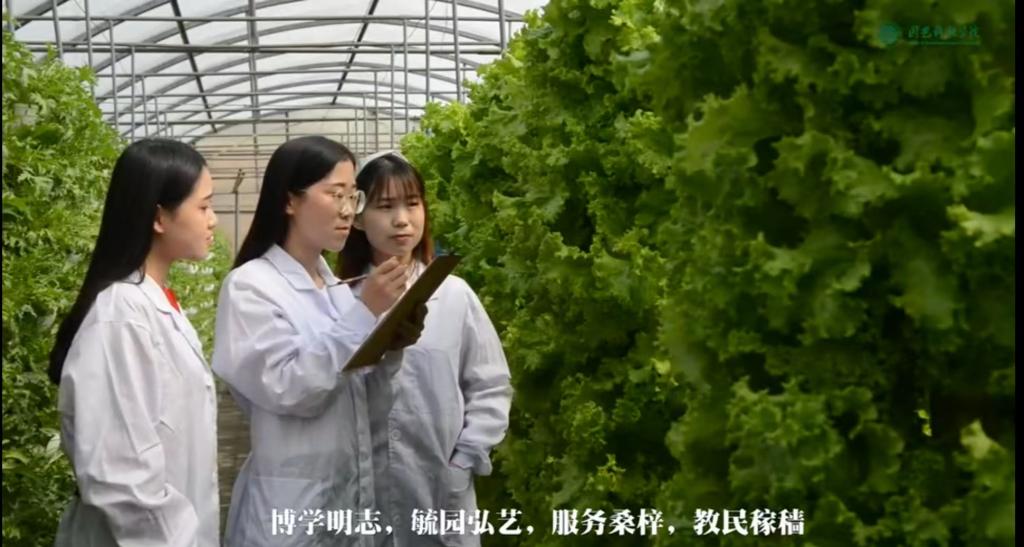 tyc122cc太阳成招生宣传短片