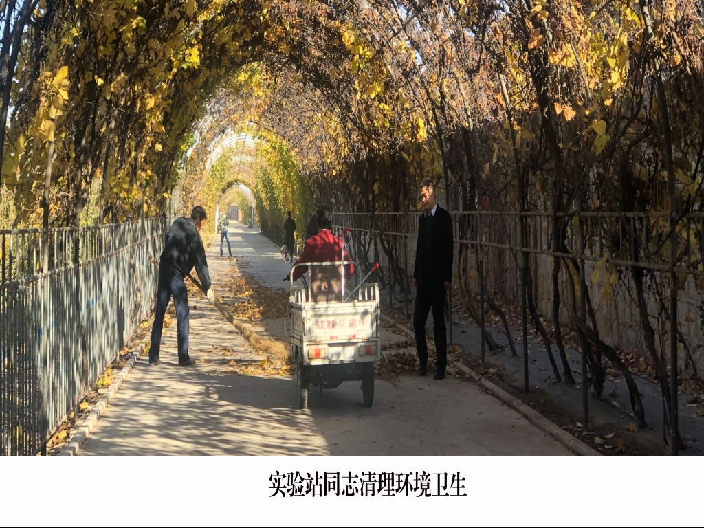 清扫 清扫
