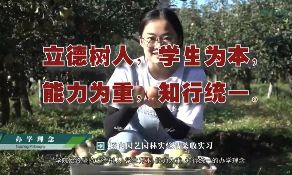 tyc122cc太阳成宣传片